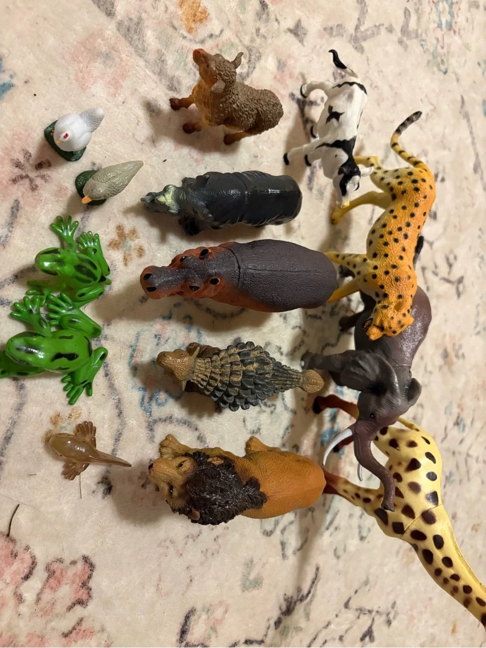 Target set assorted